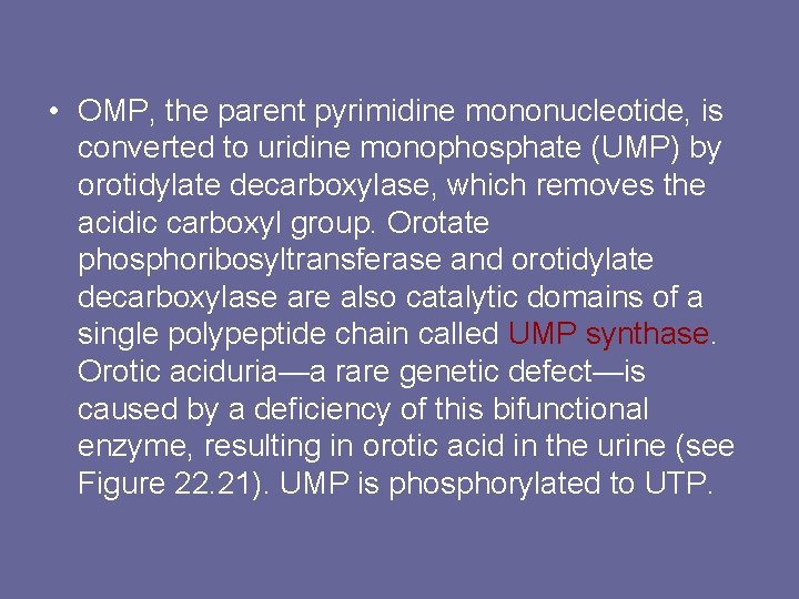  • OMP, the parent pyrimidine mononucleotide, is converted to uridine monophosphate (UMP) by