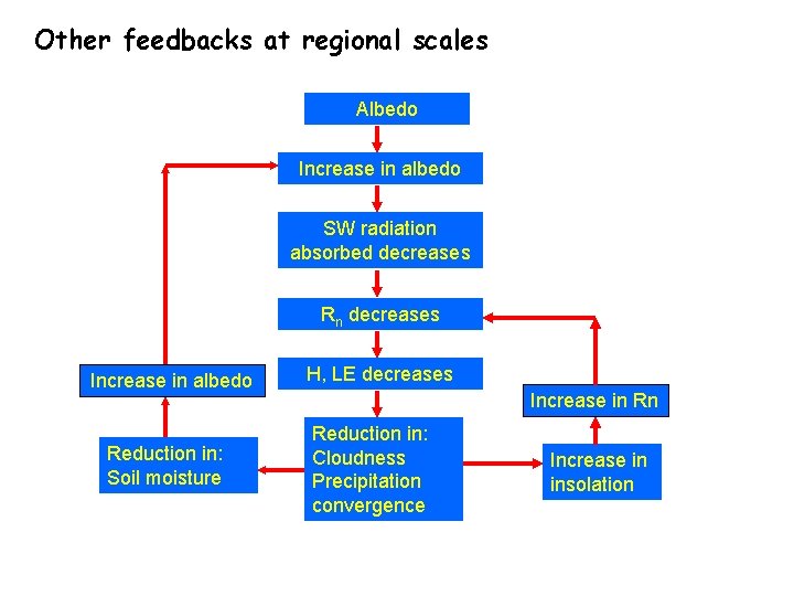 Other feedbacks at regional scales Albedo Increase in albedo SW radiation absorbed decreases Rn