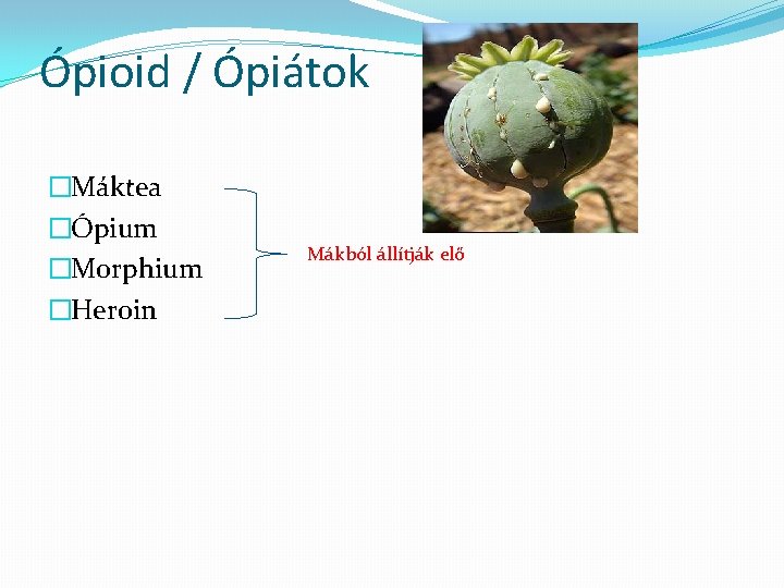 Ópioid / Ópiátok �Máktea �Ópium �Morphium �Heroin Mákból állítják elő 