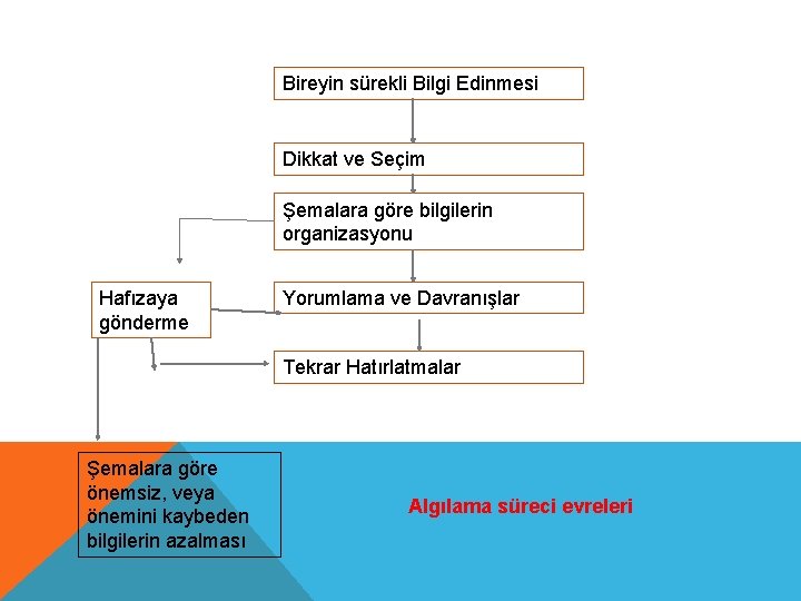 Bireyin sürekli Bilgi Edinmesi Dikkat ve Seçim Şemalara göre bilgilerin organizasyonu Hafızaya gönderme Yorumlama