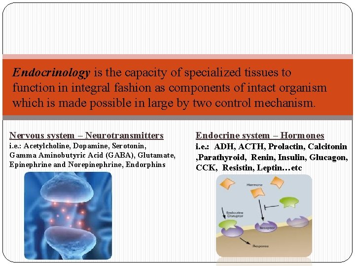 Endocrinology is the capacity of specialized tissues to function in integral fashion as components