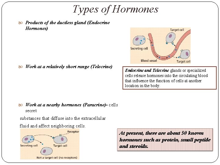 Types of Hormones Products of the ductless gland (Endocrine Hormones) Work at a relatively