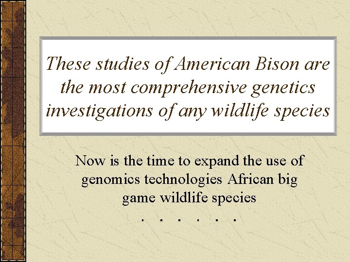 These studies of American Bison are the most comprehensive genetics investigations of any wildlife