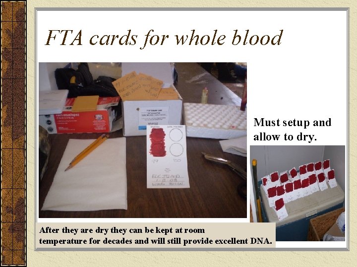 FTA cards for whole blood Must setup and allow to dry. After they are