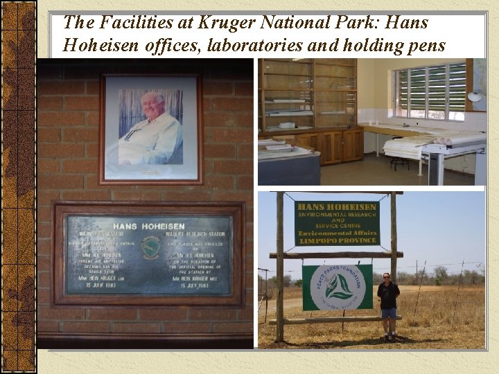 The Facilities at Kruger National Park: Hans Hoheisen offices, laboratories and holding pens 