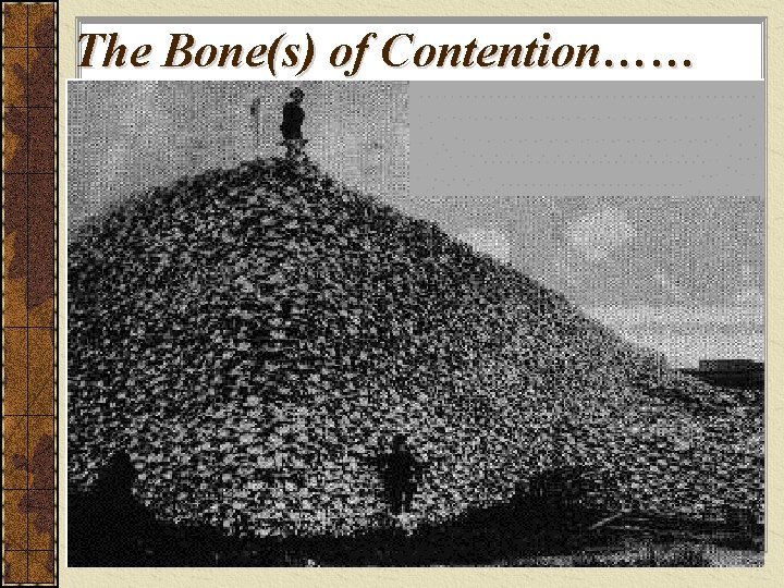The Bone(s) of Contention…… 