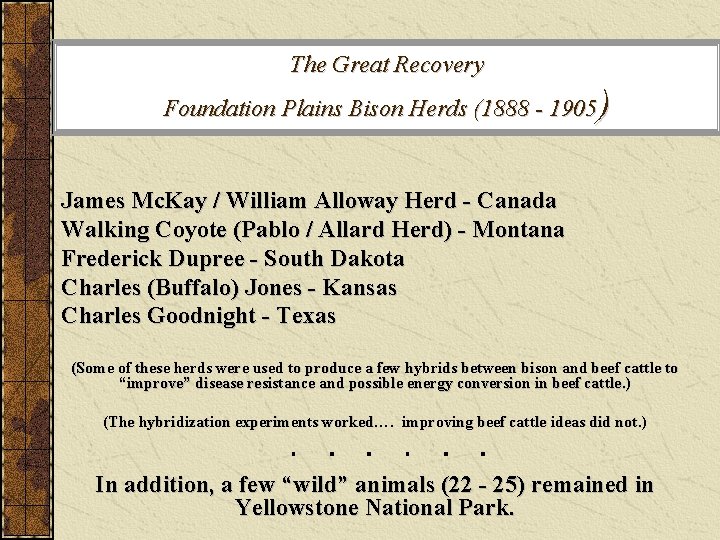 The Great Recovery ) Foundation Plains Bison Herds (1888 - 1905 James Mc. Kay