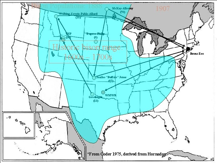 Bison Populations: 1888 Walking Coyote-Pablo-Allard (35) YNP (30) Mc. Kay-Alloway (70) 1907 Dupree-Philip (9)