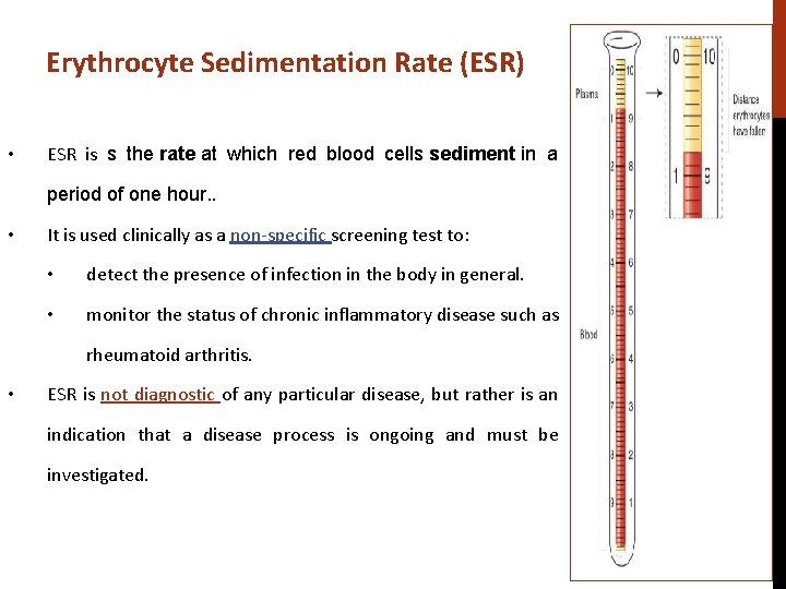 Erythrocyte Sedimentation Rate (ESR) • ESR is s the rate at which red blood