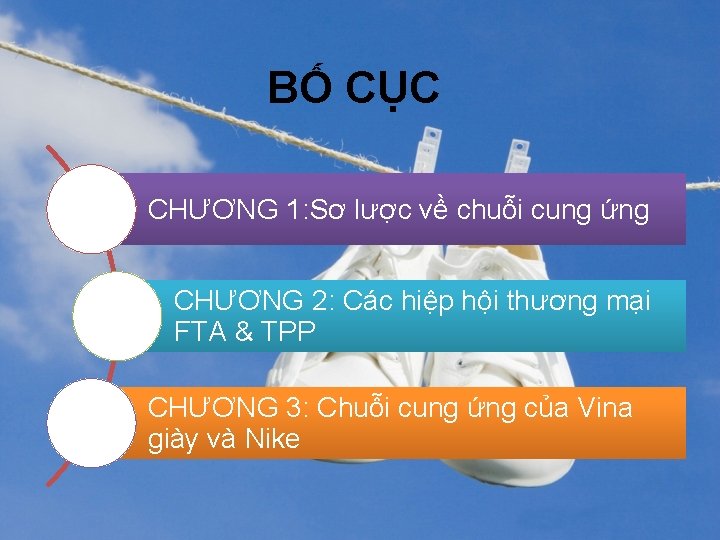 BỐ CỤC CHƯƠNG 1: Sơ lược về chuỗi cung ứng CHƯƠNG 2: Các hiệp