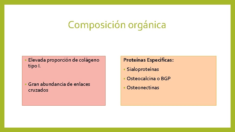 Composición orgánica • • Elevada proporción de colágeno tipo I. Gran abundancia de enlaces