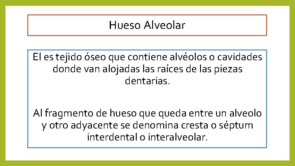 Hueso Alveolar El es tejido óseo que contiene alvéolos o cavidades donde van alojadas