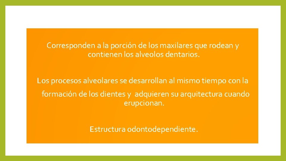 Corresponden a la porción de los maxilares que rodean y contienen los alveolos dentarios.