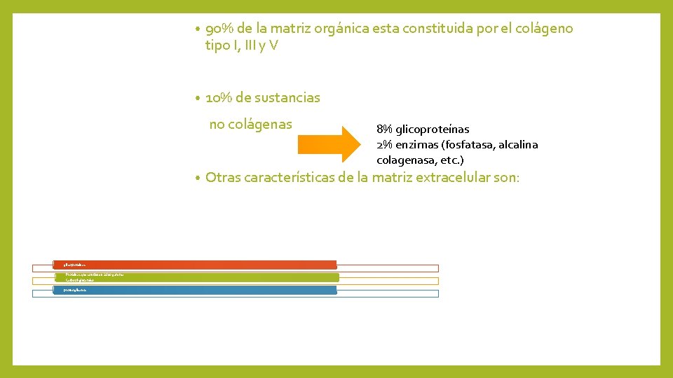  • 90% de la matriz orgánica esta constituida por el colágeno tipo I,