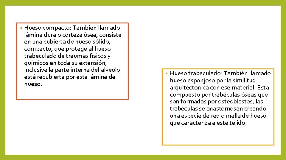  • Hueso compacto: También llamado lámina dura o corteza ósea, consiste en una