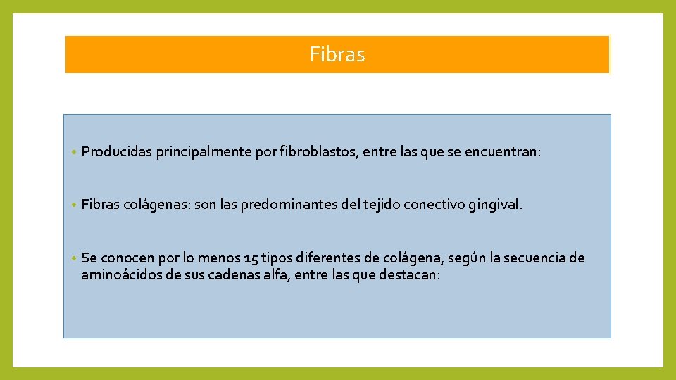 Fibras • Producidas principalmente por fibroblastos, entre las que se encuentran: • Fibras colágenas: