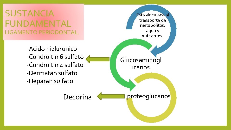 SUSTANCIA FUNDAMENTAL LIGAMENTO PERIODONTAL. -Acido hialuronico -Condroitin 6 sulfato -Condroitin 4 sulfato -Dermatan sulfato