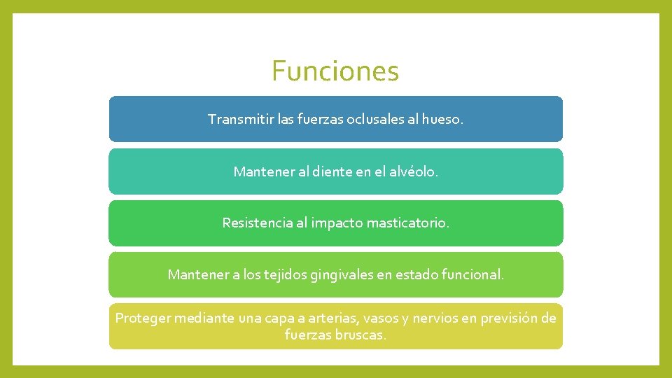 Funciones Transmitir las fuerzas oclusales al hueso. Mantener al diente en el alvéolo. Resistencia