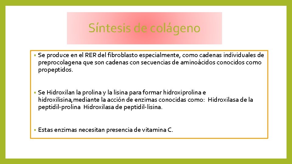 Síntesis de colágeno • Se produce en el RER del fibroblasto especialmente, como cadenas