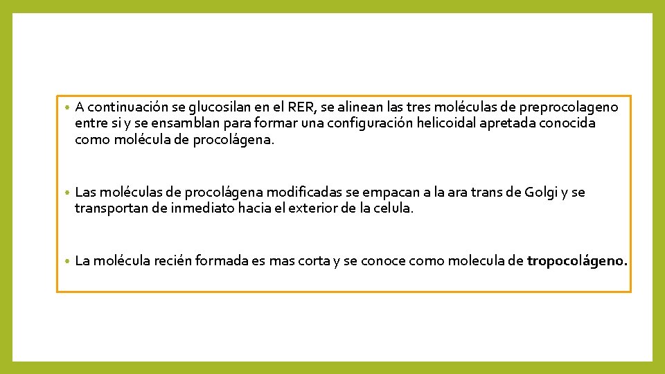  • A continuación se glucosilan en el RER, se alinean las tres moléculas