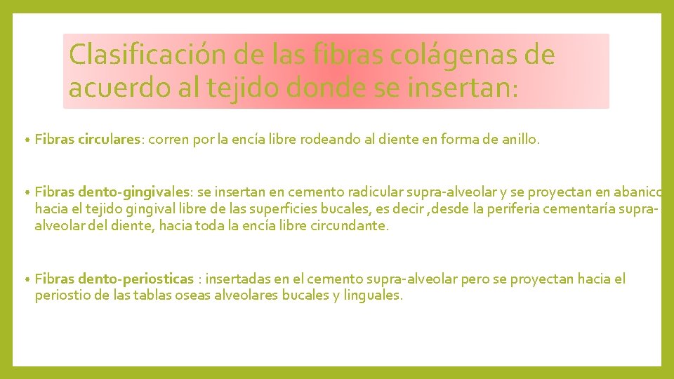 Clasificación de las fibras colágenas de acuerdo al tejido donde se insertan: • Fibras