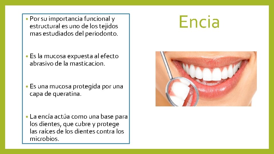  • Por su importancia funcional y estructural es uno de los tejidos mas