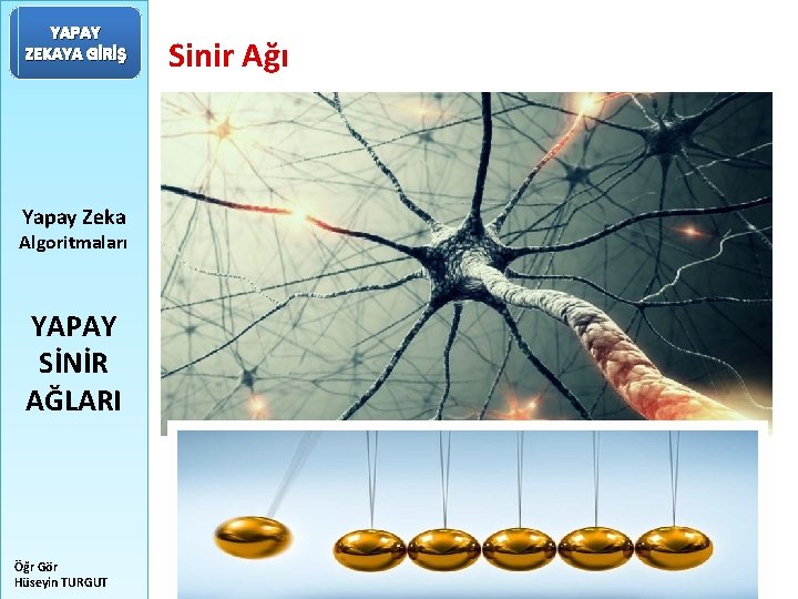YAPAY ZEKAYA GİRİŞ Yapay Zeka Algoritmaları YAPAY SİNİR AĞLARI Öğr Gör Hüseyin TURGUT Sinir