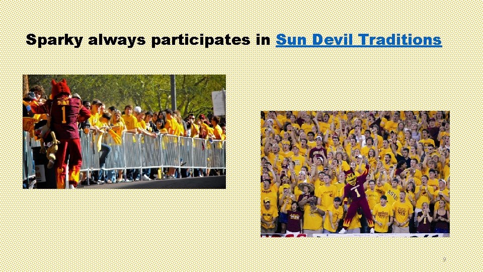 Sparky always participates in Sun Devil Traditions 9 