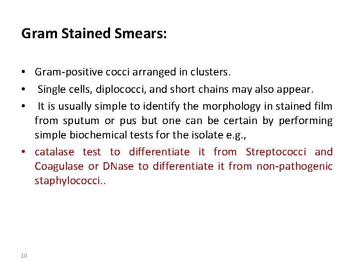 Gram Stained Smears: • Gram-positive cocci arranged in clusters. • Single cells, diplococci, and