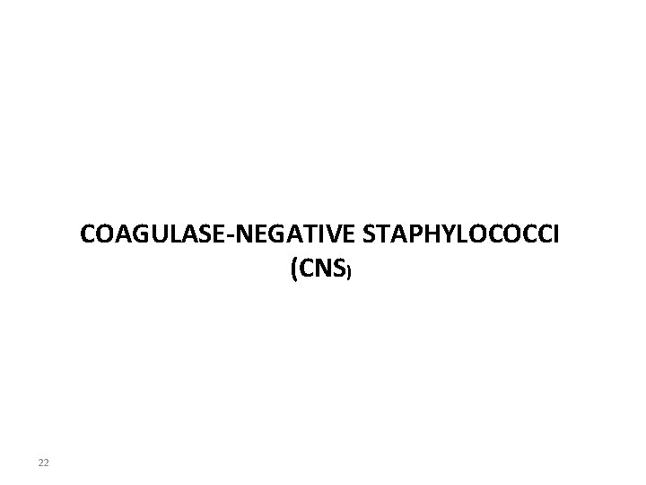 COAGULASE-NEGATIVE STAPHYLOCOCCI (CNS) 22 