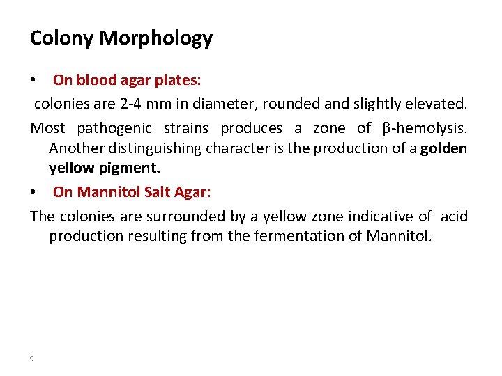 Colony Morphology • On blood agar plates: colonies are 2 -4 mm in diameter,