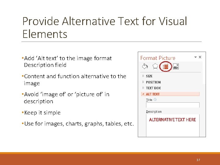 Provide Alternative Text for Visual Elements • Add ‘Alt text’ to the image format