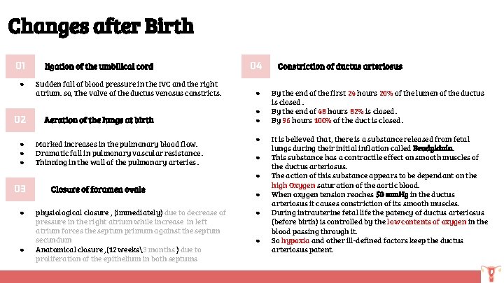 Changes after Birth 01 ● 02 ● ● ● ligation of the umbilical cord