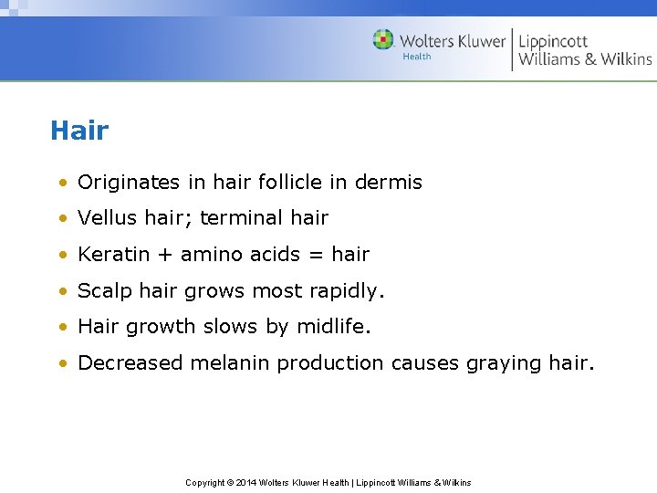 Hair • Originates in hair follicle in dermis • Vellus hair; terminal hair •