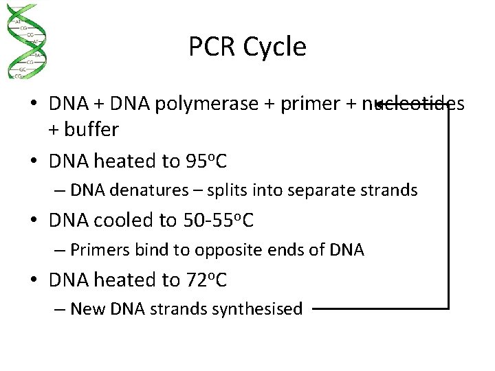 PCR Cycle • DNA + DNA polymerase + primer + nucleotides + buffer •