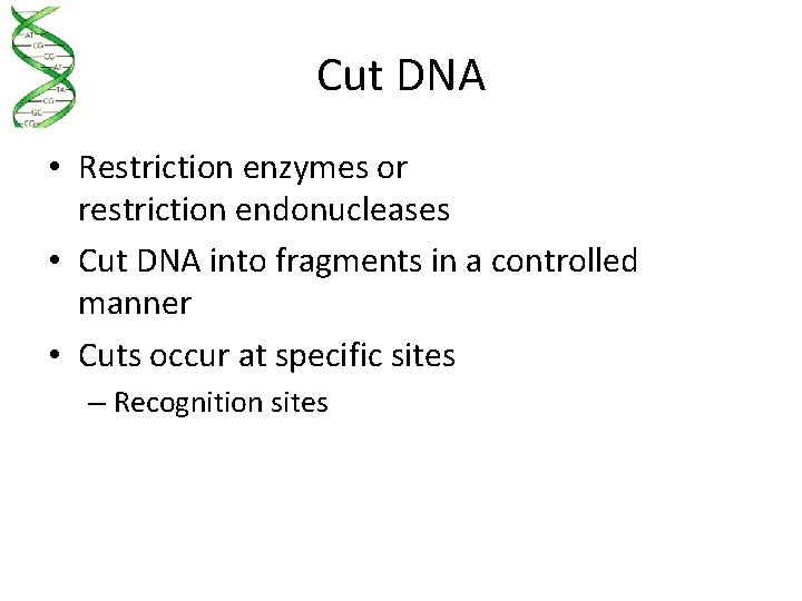 Cut DNA • Restriction enzymes or restriction endonucleases • Cut DNA into fragments in