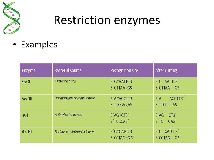 Restriction enzymes • Examples 