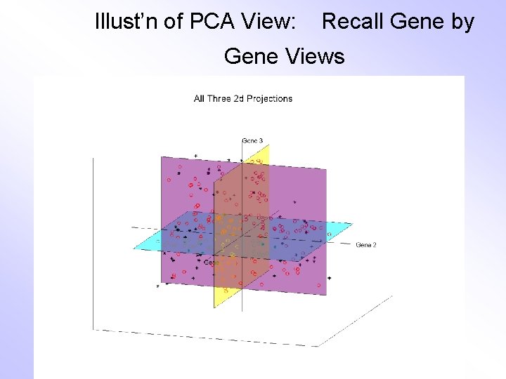 Illust’n of PCA View: Recall Gene by Gene Views 