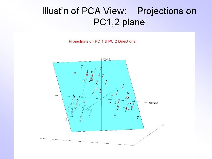 Illust’n of PCA View: Projections on PC 1, 2 plane 