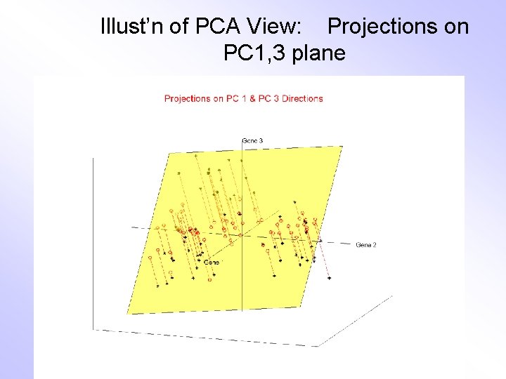 Illust’n of PCA View: Projections on PC 1, 3 plane 