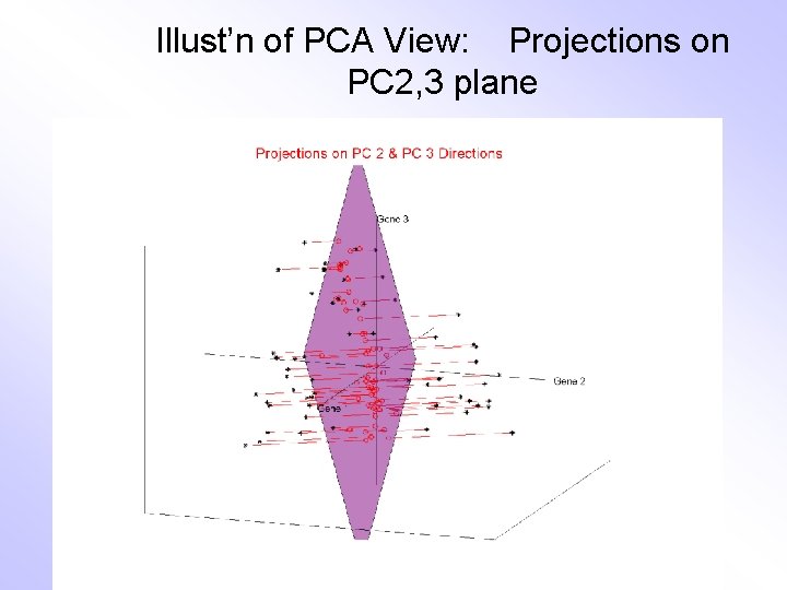 Illust’n of PCA View: Projections on PC 2, 3 plane 