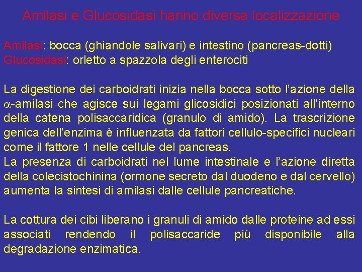 Amilasi e Glucosidasi hanno diversa localizzazione Amilasi: bocca (ghiandole salivari) e intestino (pancreas-dotti) Glucosidasi: