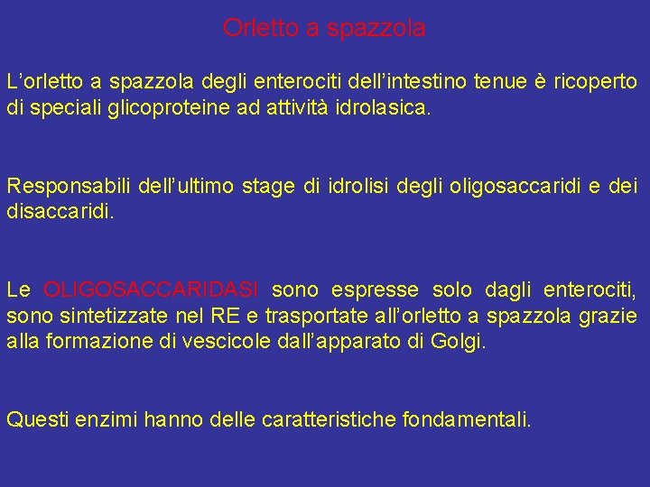 Orletto a spazzola L’orletto a spazzola degli enterociti dell’intestino tenue è ricoperto di speciali