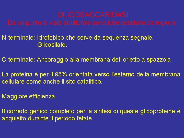 OLIGOSACCARIDASI Da un punto di vista strutturale sono tutte costituite da regione N-terminale: Idrofobico