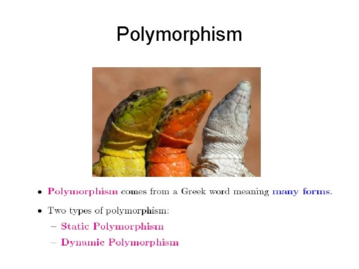 Polymorphism 