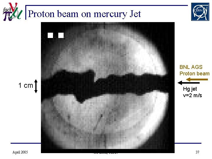Proton beam on mercury Jet BNL AGS Proton beam 1 cm April 2005 Hg