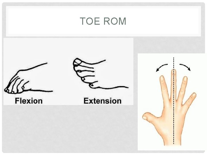 TOE ROM 