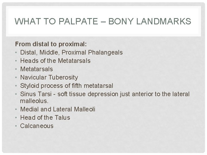 WHAT TO PALPATE – BONY LANDMARKS From distal to proximal: • Distal, Middle, Proximal