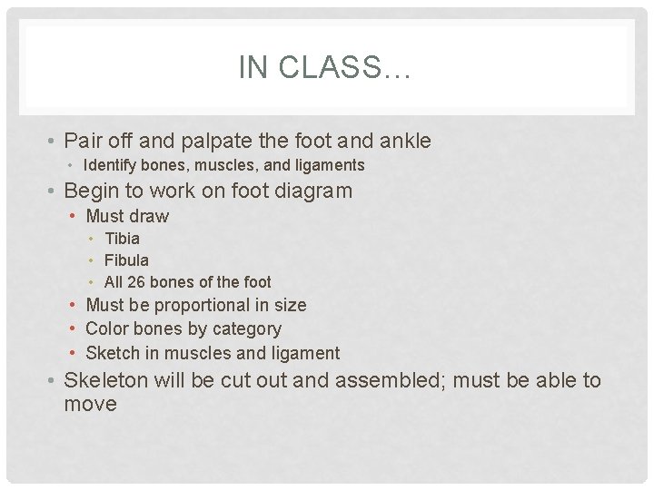 IN CLASS… • Pair off and palpate the foot and ankle • Identify bones,