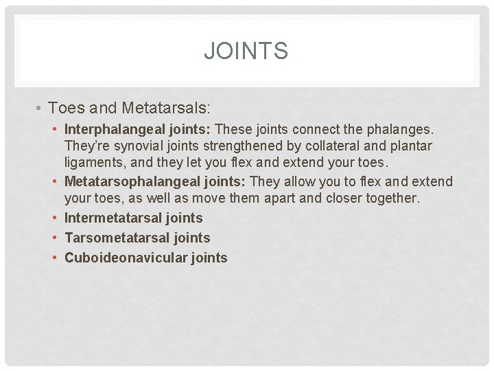 JOINTS • Toes and Metatarsals: • Interphalangeal joints: These joints connect the phalanges. They’re